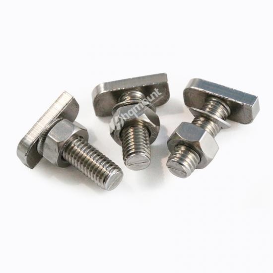 Stainless Steel T bolt
